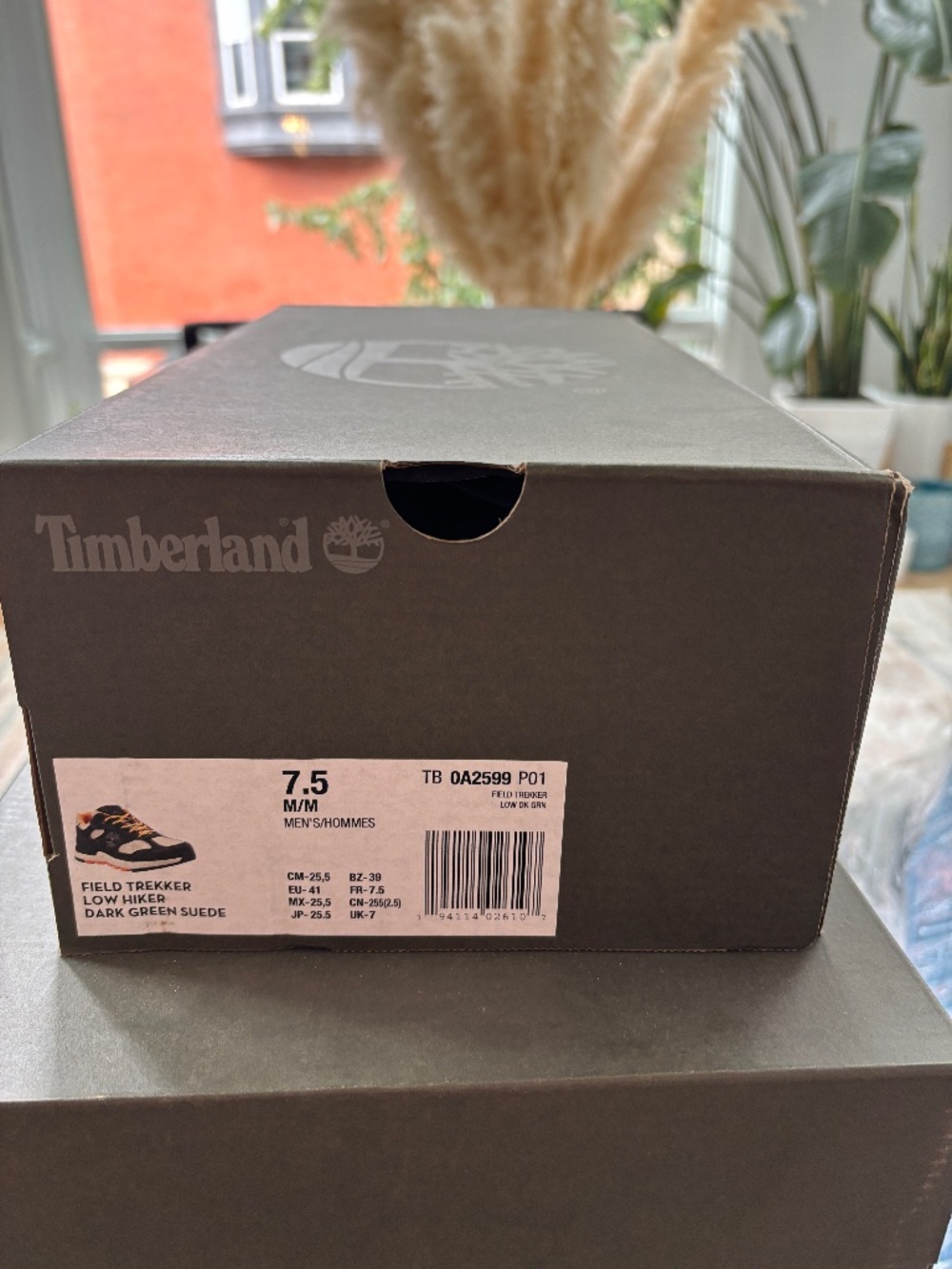 Timberland Field Trekker